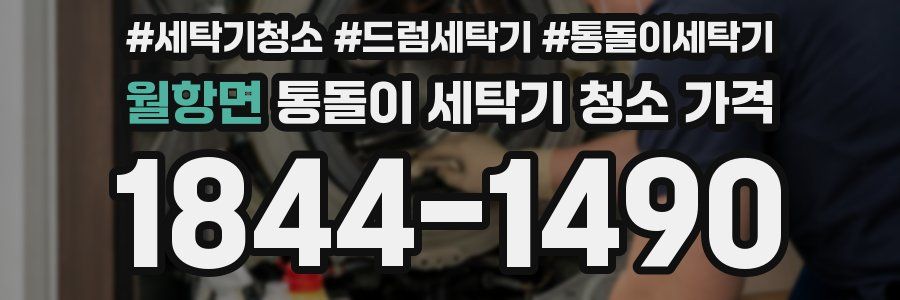 월항면 통돌이 세탁기 청소 가격