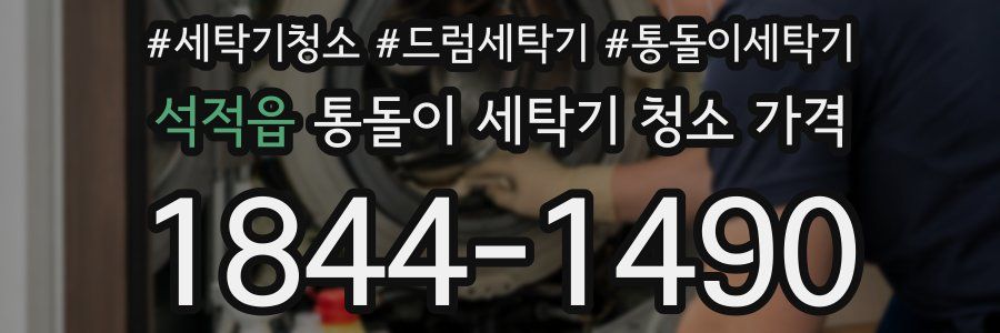 석적읍 통돌이 세탁기 청소 가격