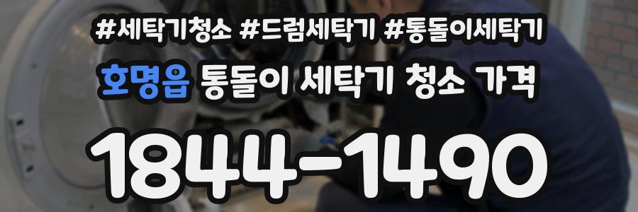 호명읍 통돌이 세탁기 청소 가격