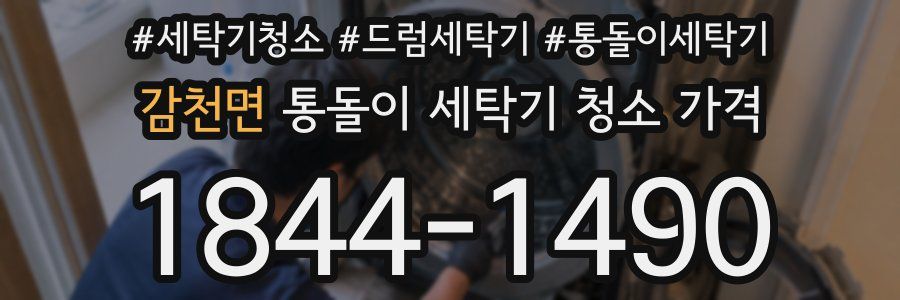 감천면 통돌이 세탁기 청소 가격