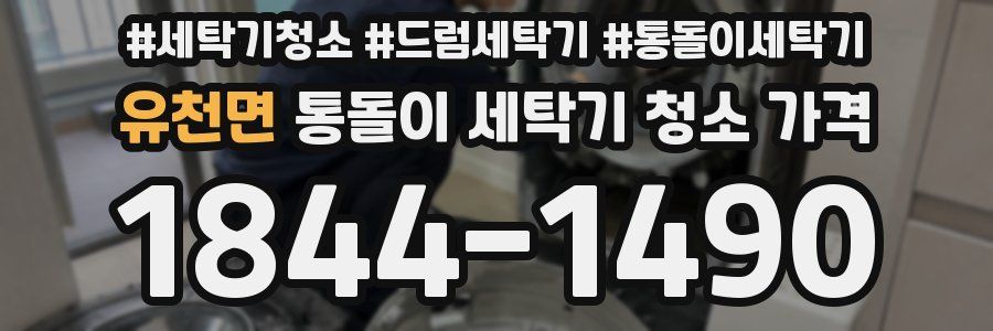 유천면 통돌이 세탁기 청소 가격