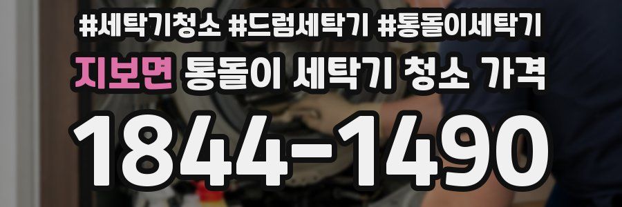 지보면 통돌이 세탁기 청소 가격