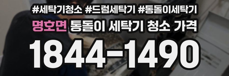 명호면 통돌이 세탁기 청소 가격
