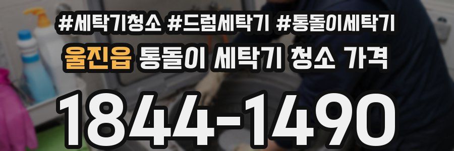 울진읍 통돌이 세탁기 청소 가격