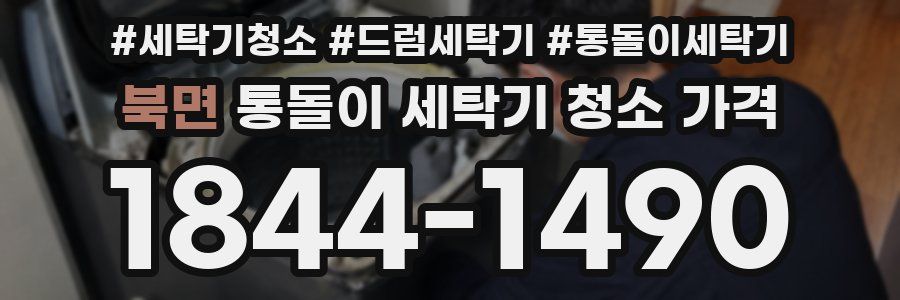 북면 통돌이 세탁기 청소 가격