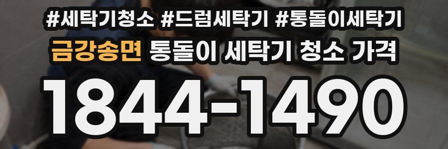 금강송면 통돌이 세탁기 청소 가격
