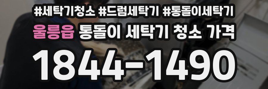 울릉읍 통돌이 세탁기 청소 가격