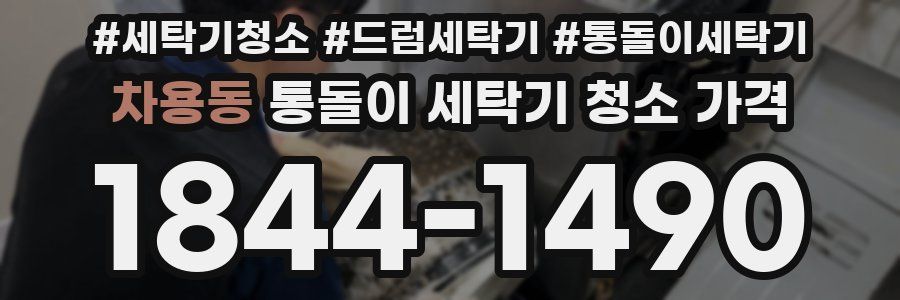 차용동 통돌이 세탁기 청소 가격