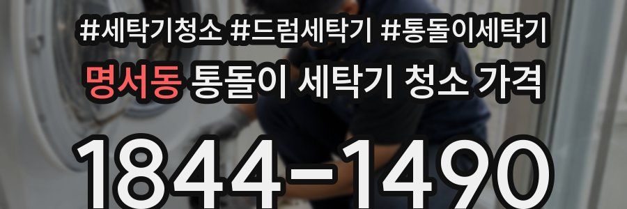 명서동 통돌이 세탁기 청소 가격