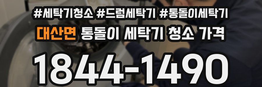 대산면 통돌이 세탁기 청소 가격