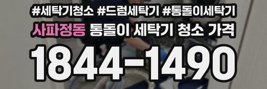 사파정동 통돌이 세탁기 청소 가격