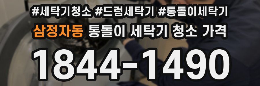 삼정자동 통돌이 세탁기 청소 가격