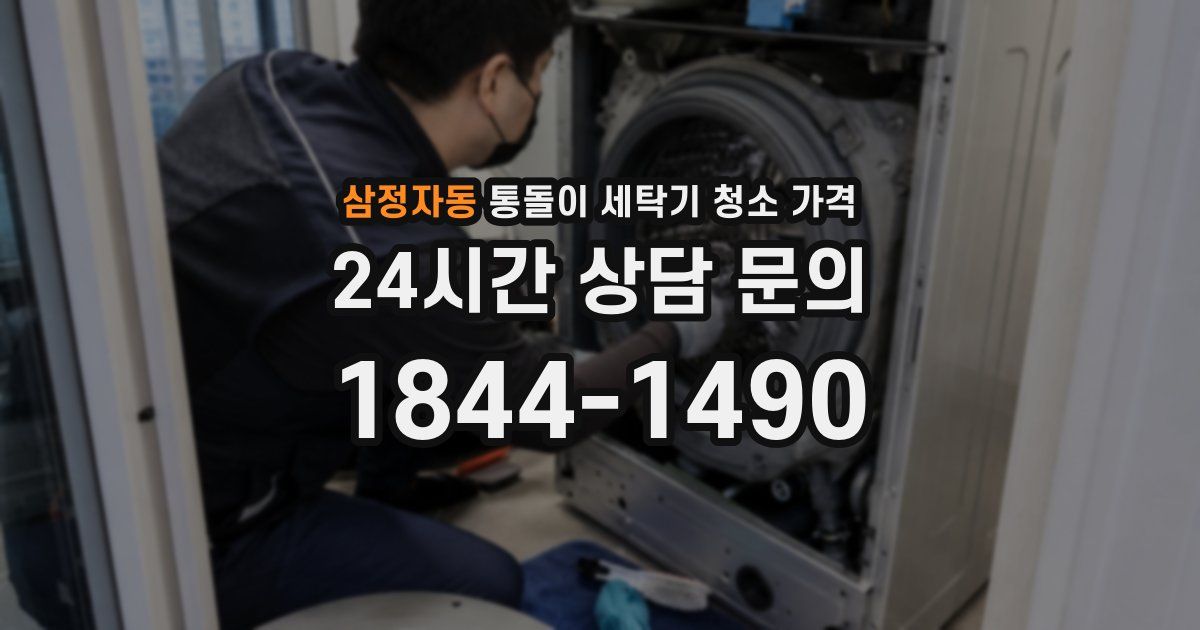삼정자동 통돌이 세탁기 청소 가격