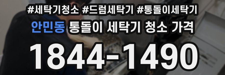 안민동 통돌이 세탁기 청소 가격