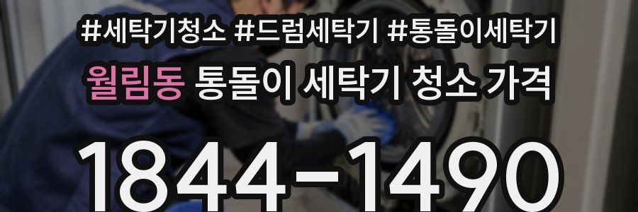 월림동 통돌이 세탁기 청소 가격