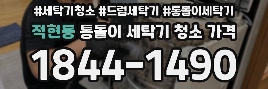 적현동 통돌이 세탁기 청소 가격