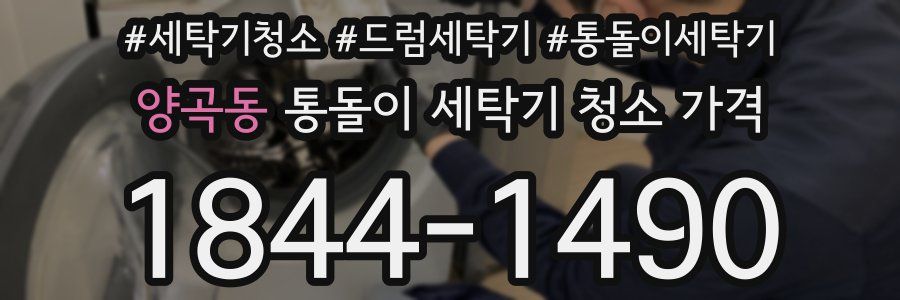 양곡동 통돌이 세탁기 청소 가격