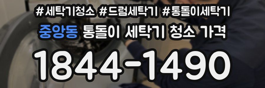 중앙동 통돌이 세탁기 청소 가격