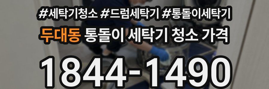 두대동 통돌이 세탁기 청소 가격