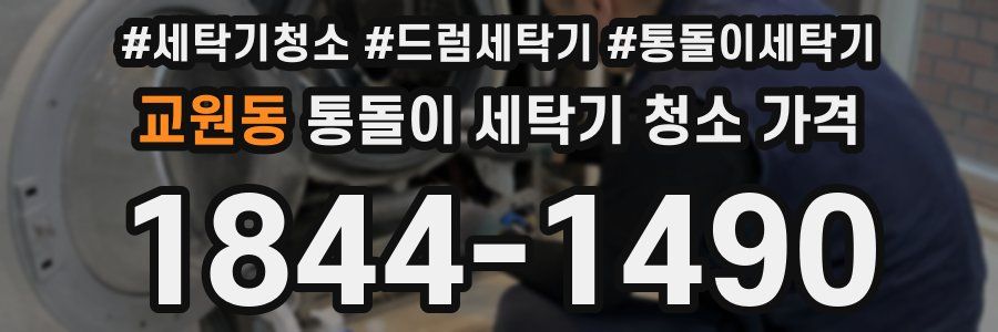교원동 통돌이 세탁기 청소 가격