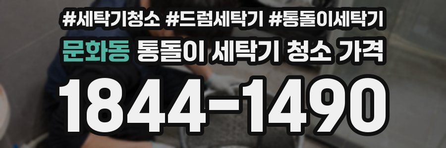 문화동 통돌이 세탁기 청소 가격