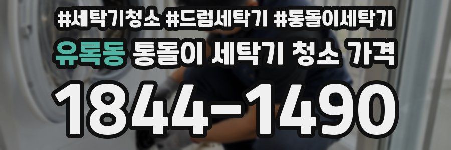 유록동 통돌이 세탁기 청소 가격
