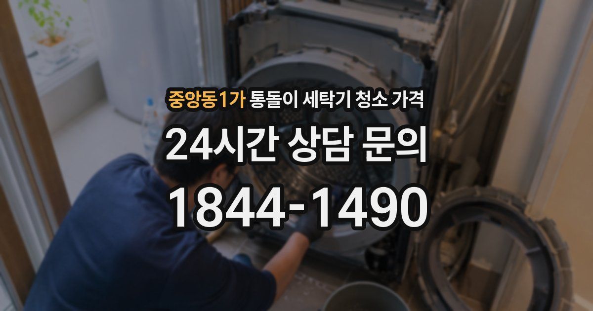중앙동1가 통돌이 세탁기 청소 가격