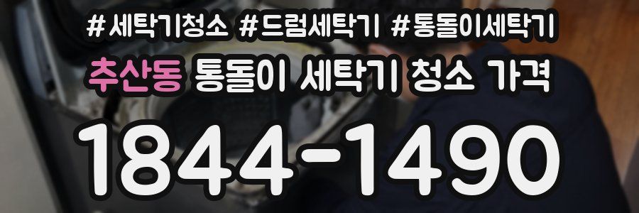 추산동 통돌이 세탁기 청소 가격