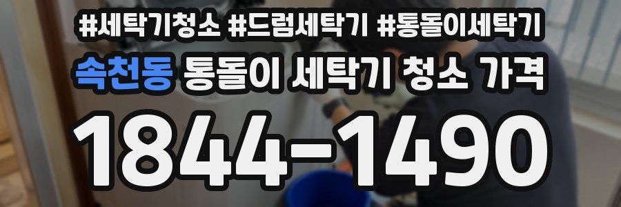 속천동 통돌이 세탁기 청소 가격