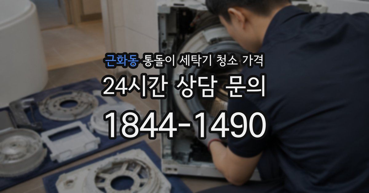 근화동 통돌이 세탁기 청소 가격
