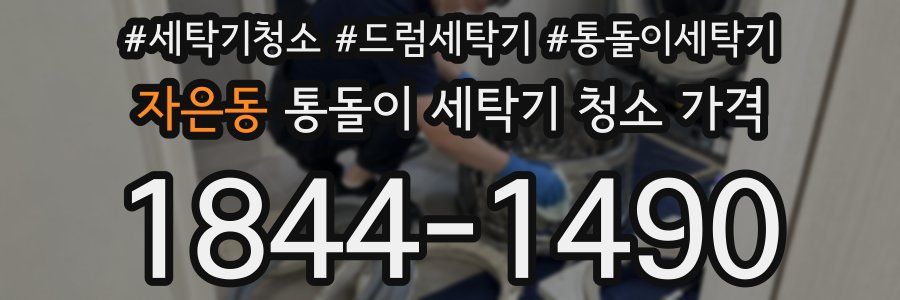 자은동 통돌이 세탁기 청소 가격