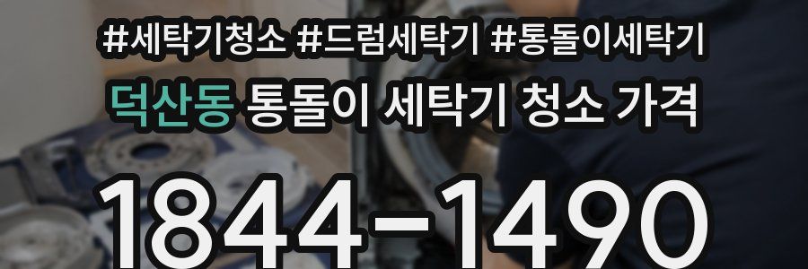덕산동 통돌이 세탁기 청소 가격