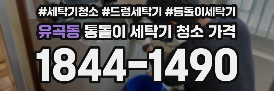 유곡동 통돌이 세탁기 청소 가격