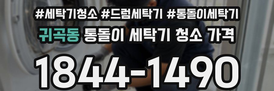 귀곡동 통돌이 세탁기 청소 가격