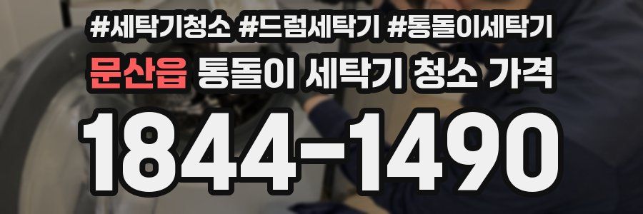 문산읍 통돌이 세탁기 청소 가격