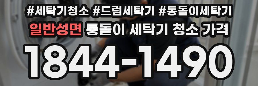 일반성면 통돌이 세탁기 청소 가격