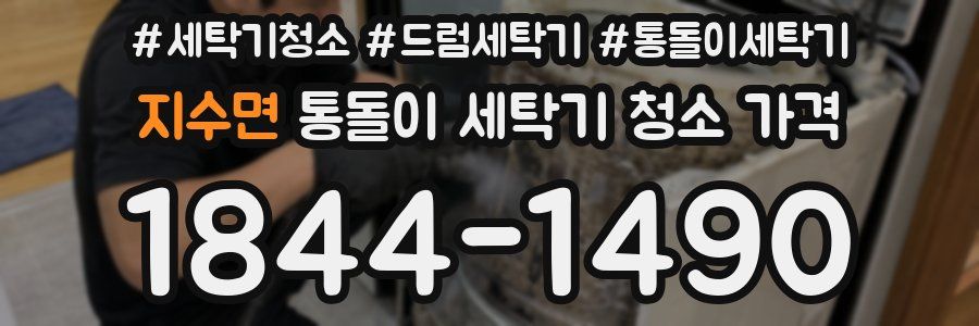 지수면 통돌이 세탁기 청소 가격