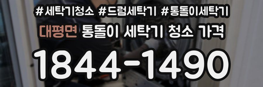 대평면 통돌이 세탁기 청소 가격