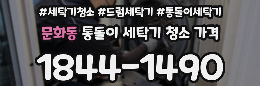 문화동 통돌이 세탁기 청소 가격