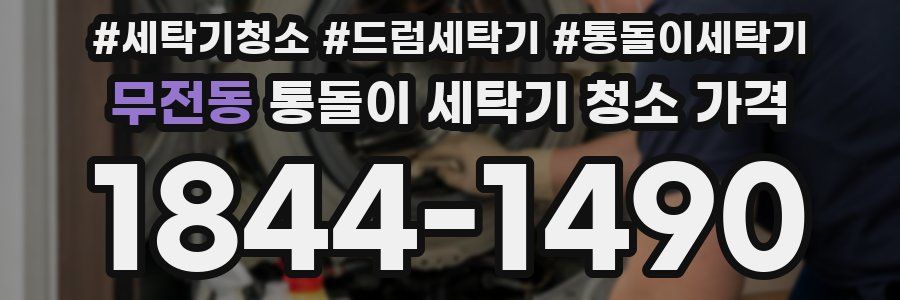 무전동 통돌이 세탁기 청소 가격