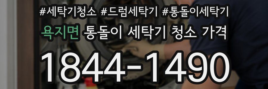 욕지면 통돌이 세탁기 청소 가격