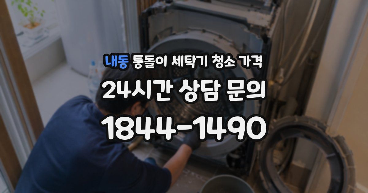 내동 통돌이 세탁기 청소 가격