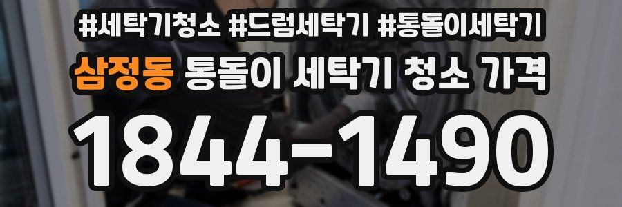 삼정동 통돌이 세탁기 청소 가격