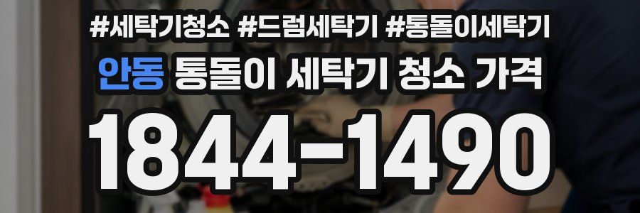 안동 통돌이 세탁기 청소 가격