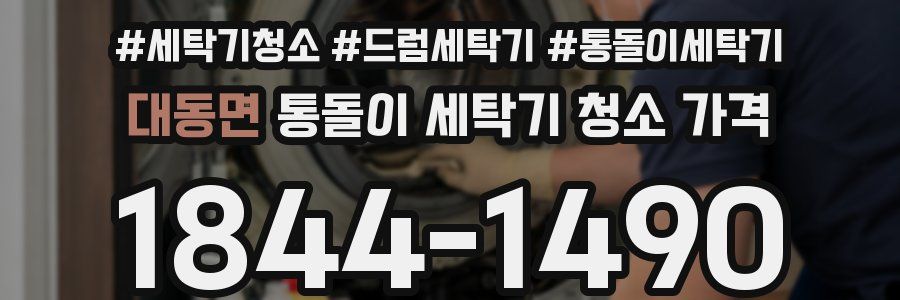 대동면 통돌이 세탁기 청소 가격