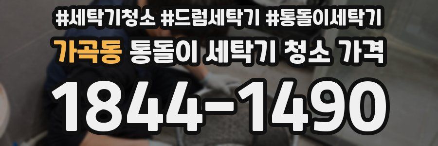 가곡동 통돌이 세탁기 청소 가격