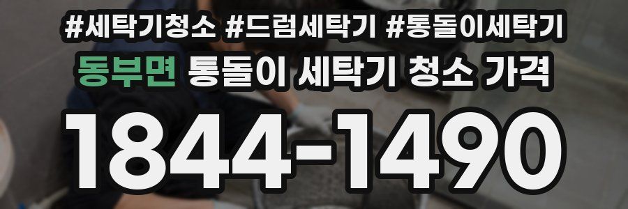 동부면 통돌이 세탁기 청소 가격