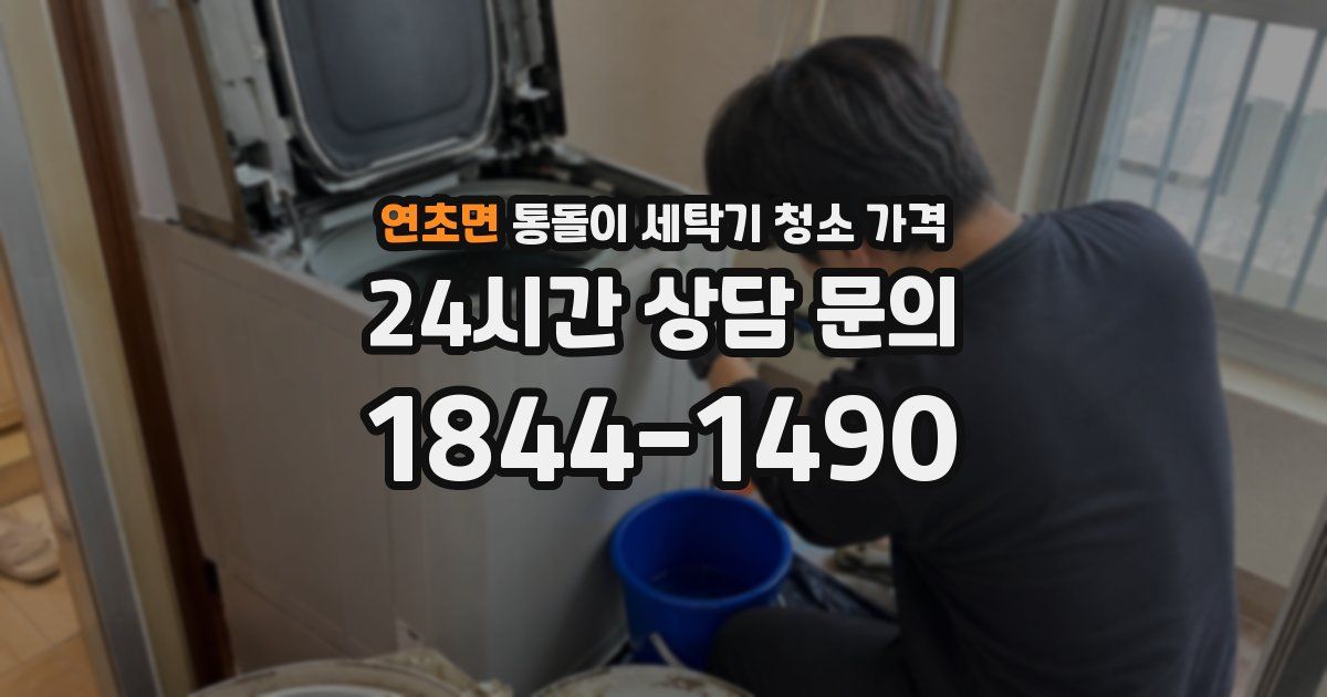 연초면 통돌이 세탁기 청소 가격
