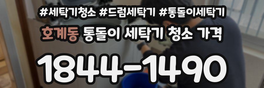 호계동 통돌이 세탁기 청소 가격