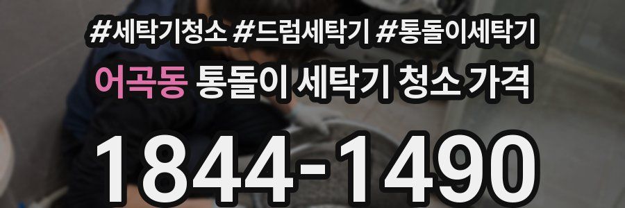어곡동 통돌이 세탁기 청소 가격